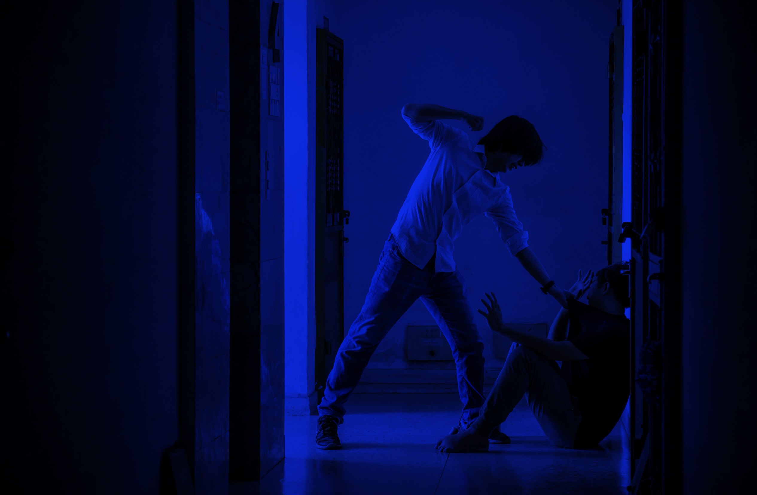 Domestic Assault and Battery a Felony